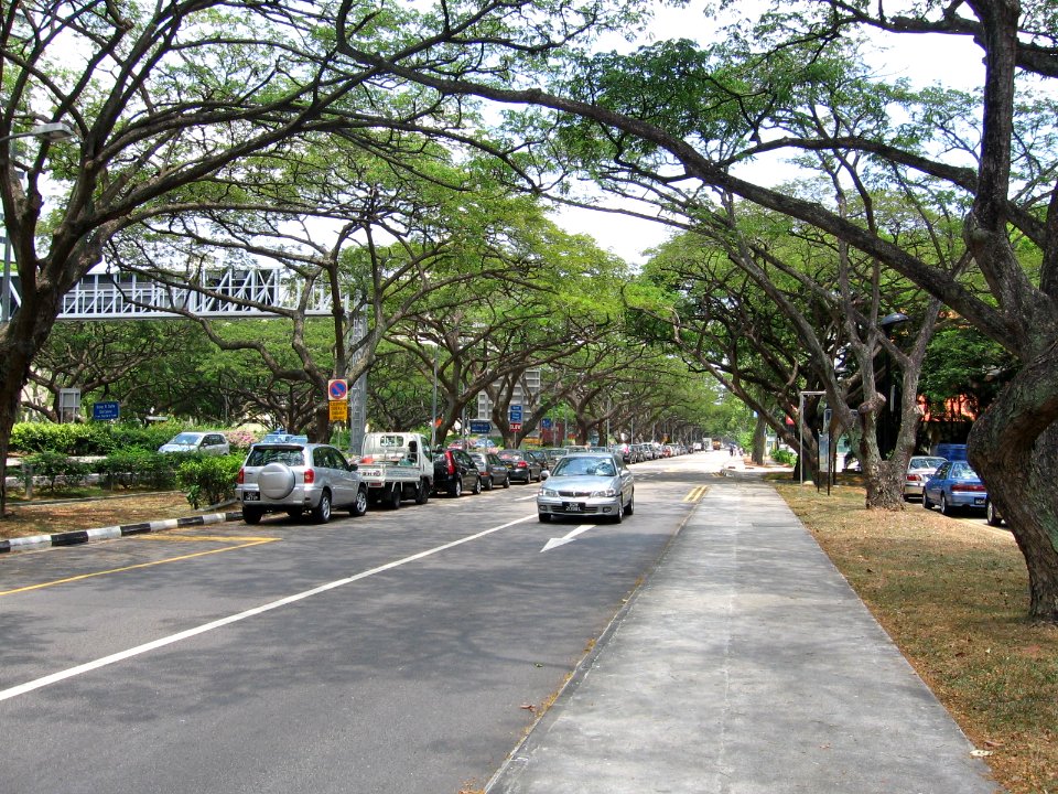 East Coast Park Service Road, Mar 06
