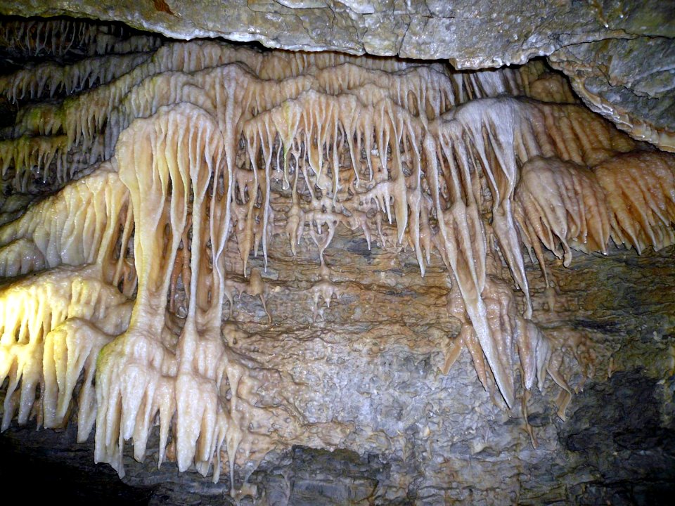 Eberstadter Tropfsteinhöhle, Wandsinter