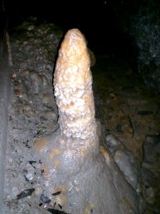 Eberstadter Tropfsteinhöhle, Stalagmit