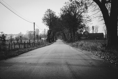 Autumn black and white black