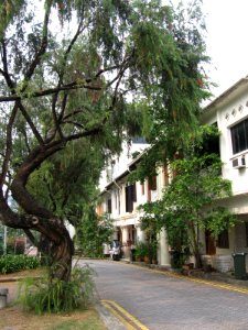 Emerald Hill Road 7, Oct 06