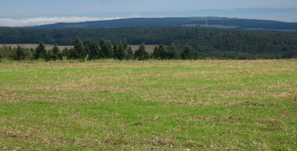 Ergenstein im Taunus