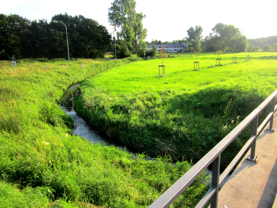 Ew-omerbach-benden1