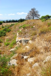 F10 09.Oppidum d'Ensérune.0095.1