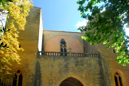 F10 11.Abbaye de Valmagne.0156
