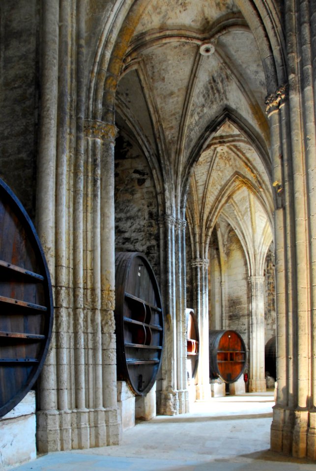F10 11.Abbaye de Valmagne.0172
