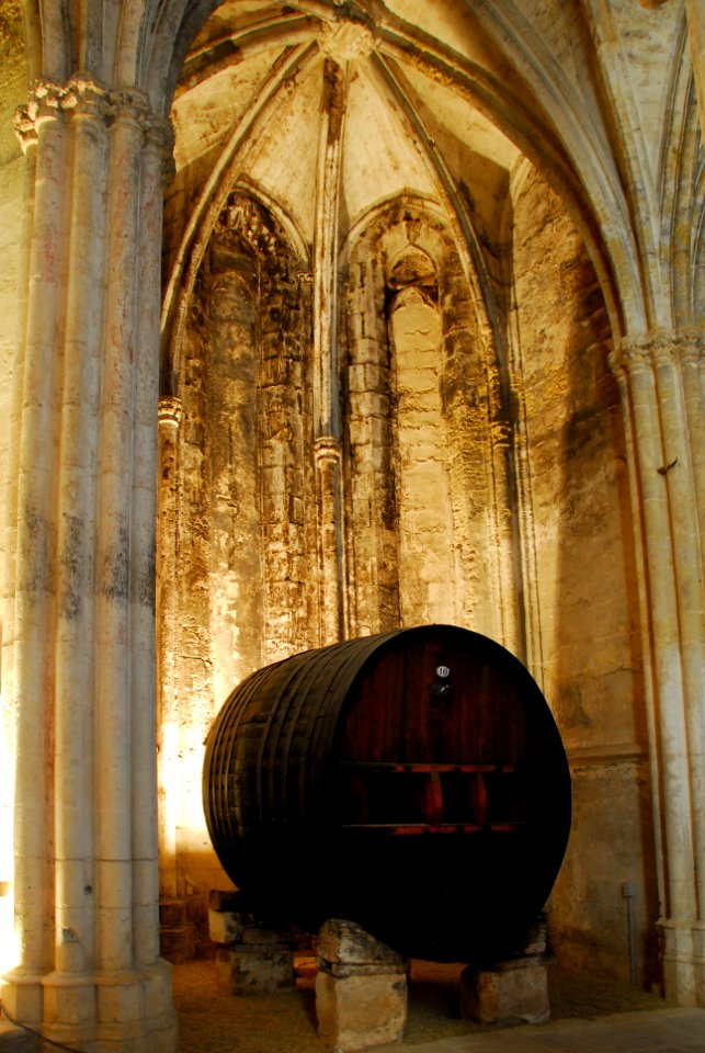 F10 11.Abbaye de Valmagne.0183