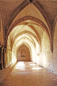 F10 11.Abbaye de Valmagne.0193
