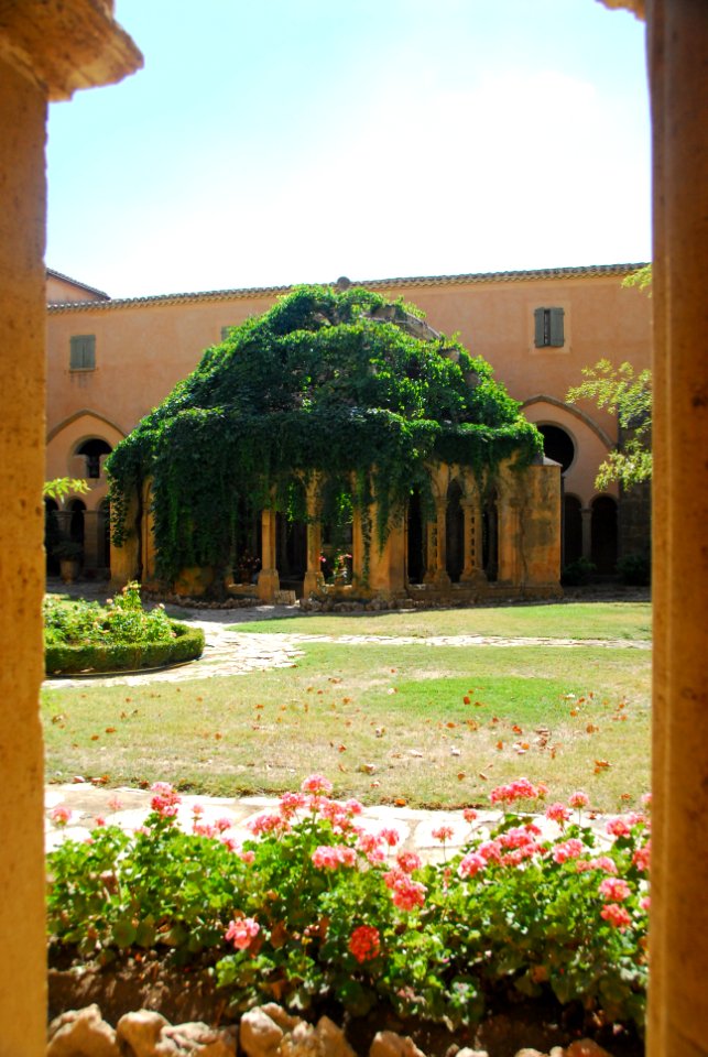 F10 11.Abbaye de Valmagne.0201