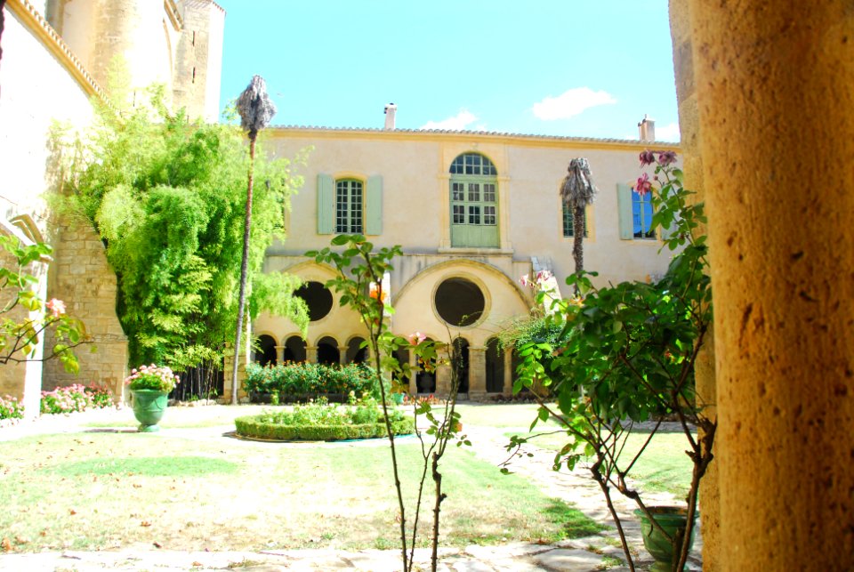 F10 11.Abbaye de Valmagne.0202