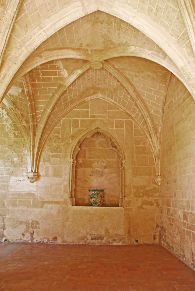 F10 11.Abbaye de Valmagne.0196