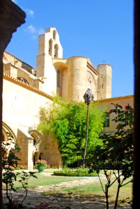 F10 11.Abbaye de Valmagne.0200