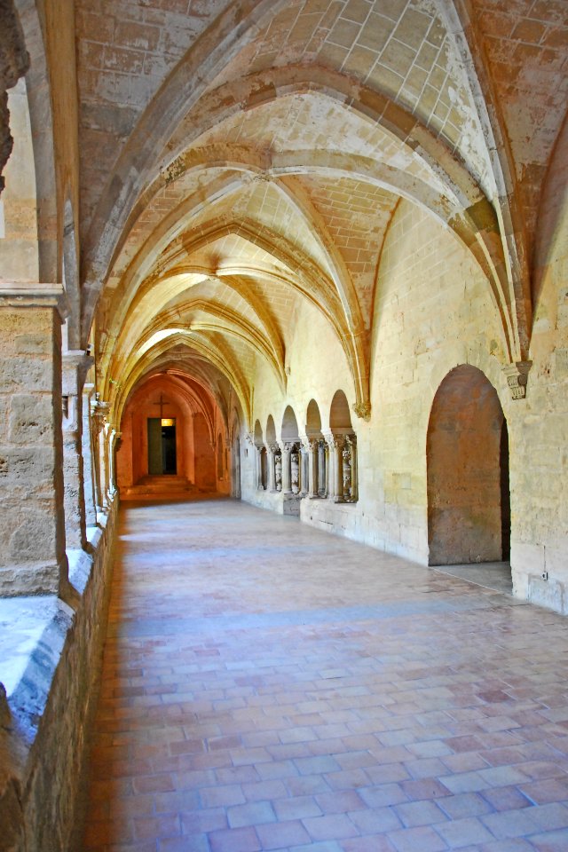 F10 11.Abbaye de Valmagne.0213