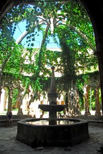 F10 11.Abbaye de Valmagne.0203