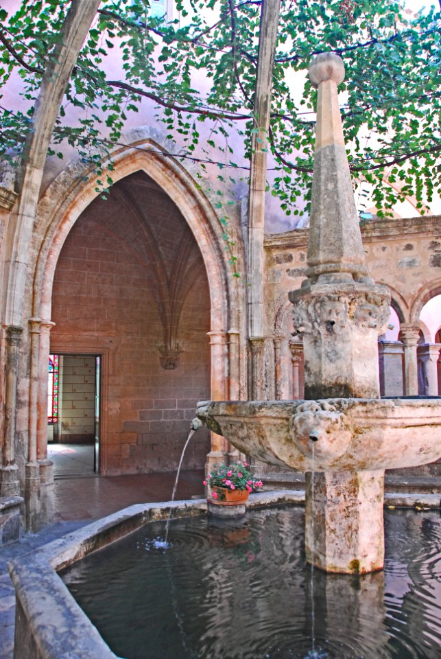 F10 11.Abbaye de Valmagne.0208