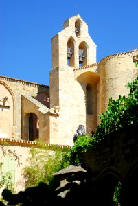 F10 11.Abbaye de Valmagne.0212