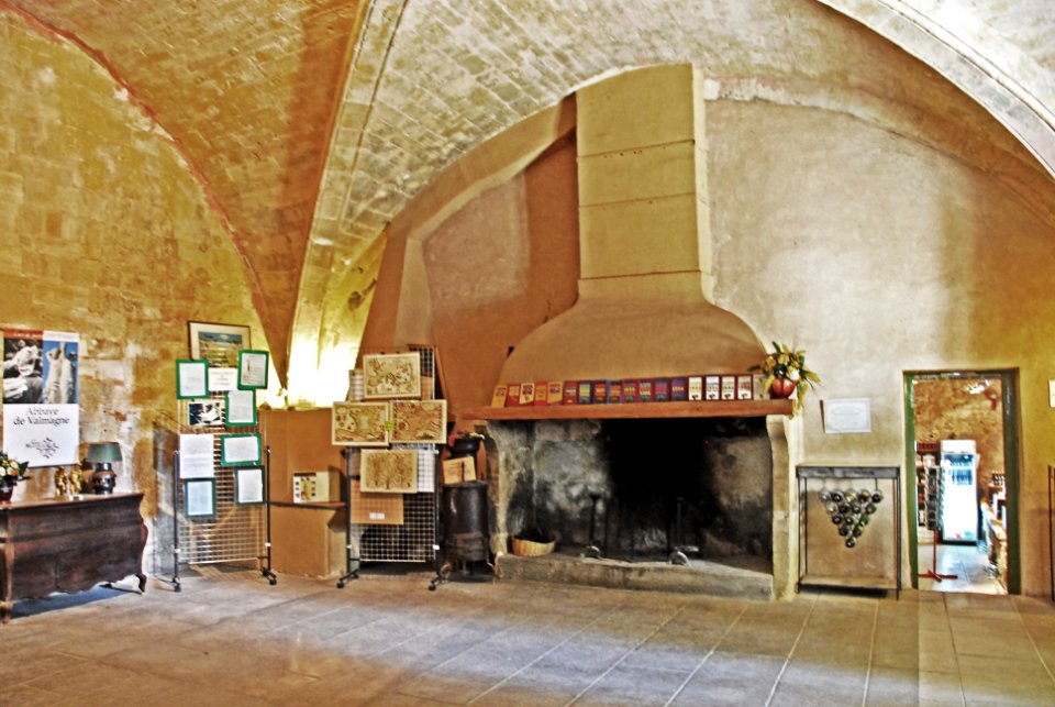 F10 11.Abbaye de Valmagne.0226
