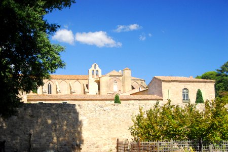 F10 11.Abbaye de Valmagne.0227