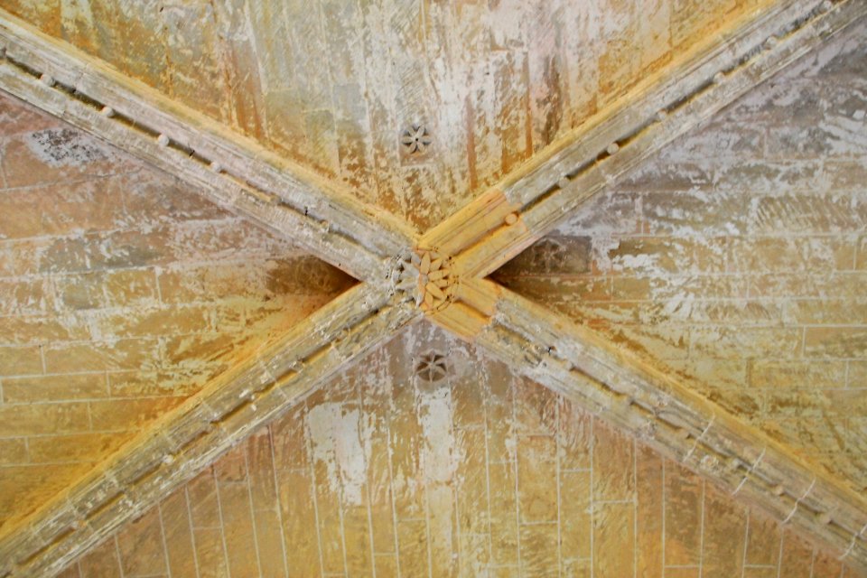 F10 11.Abbaye de Valmagne.0220