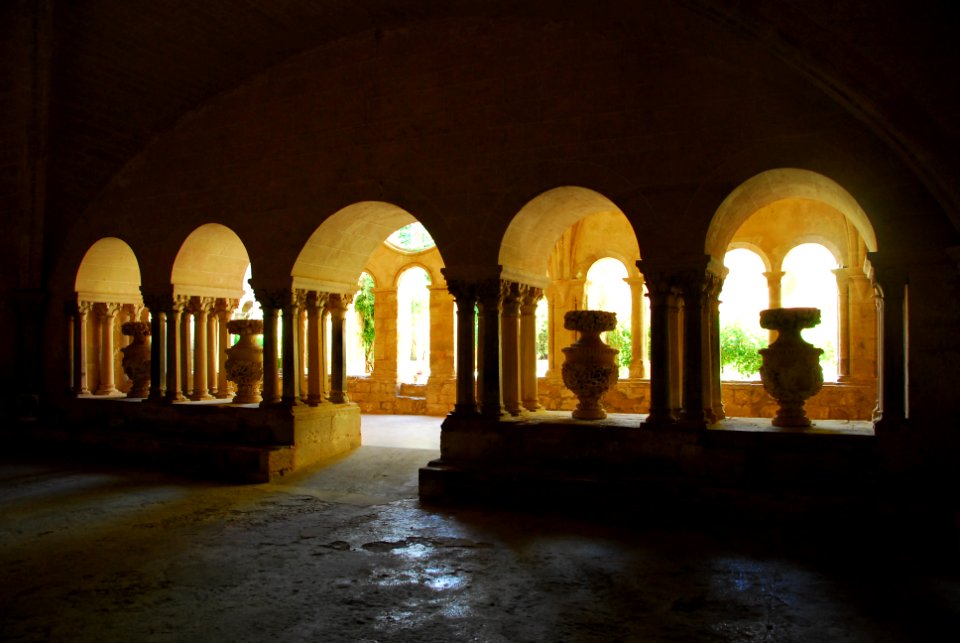 F10 11.Abbaye de Valmagne.0219