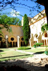 F10 11.Abbaye de Valmagne.0224