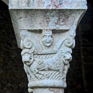 F10 19.1.Abbaye de Cuxa.0032