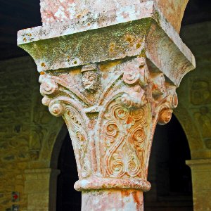 F10 19.1.Abbaye de Cuxa.0026