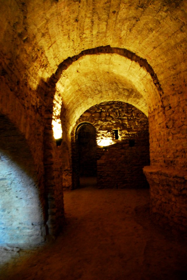 F10 19.Abbaye de Cuxa.0011