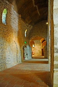 F10 19.Abbaye de Cuxa.0076