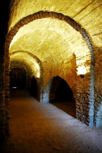 F10 19.Abbaye de Cuxa.0014