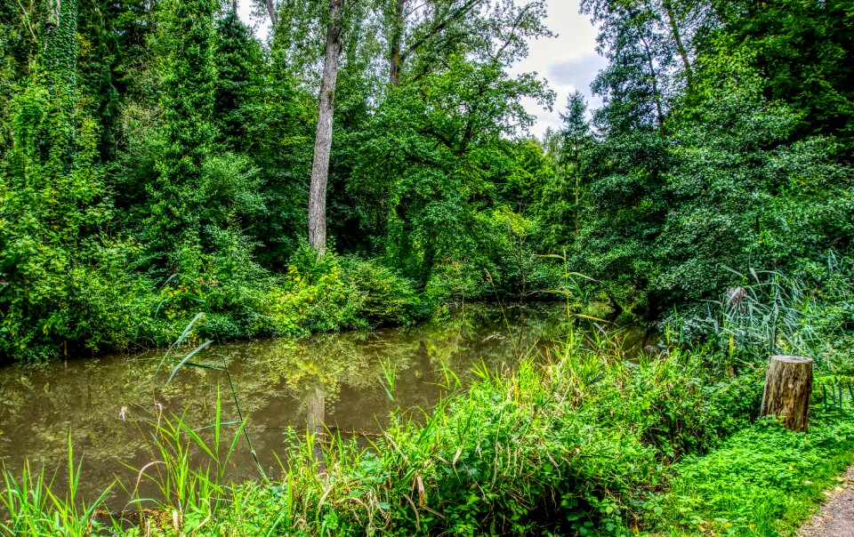 Mirroring landscape water