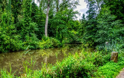 Mirroring landscape water photo