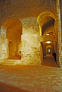 F10 19.Abbaye de Cuxa.0088