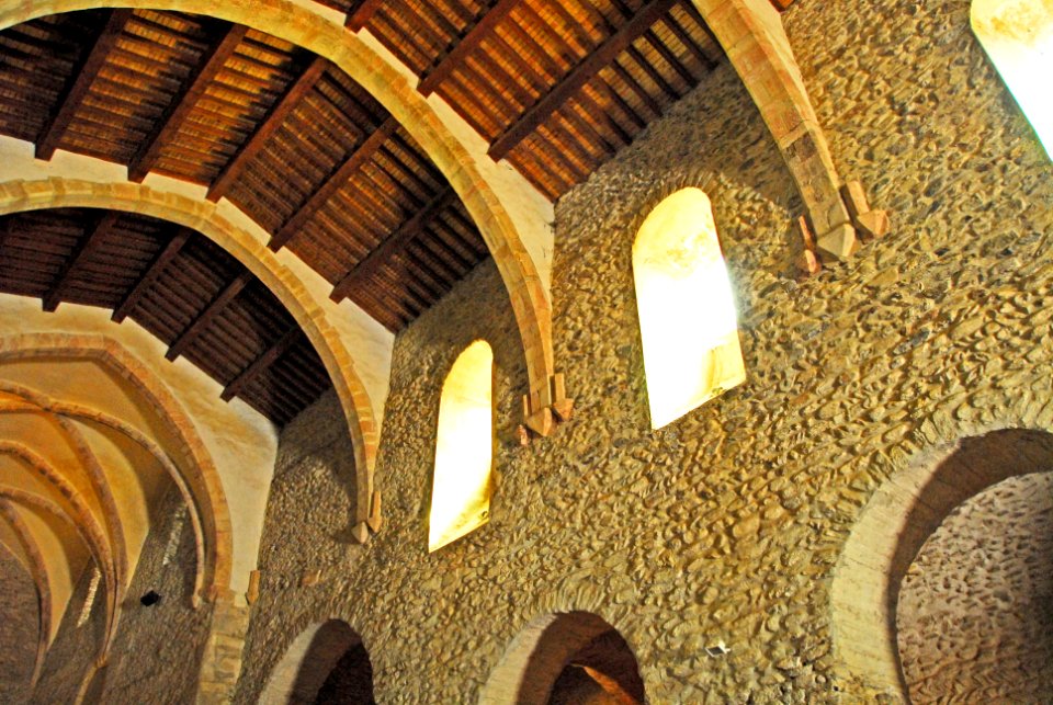 F10 19.Abbaye de Cuxa.0099