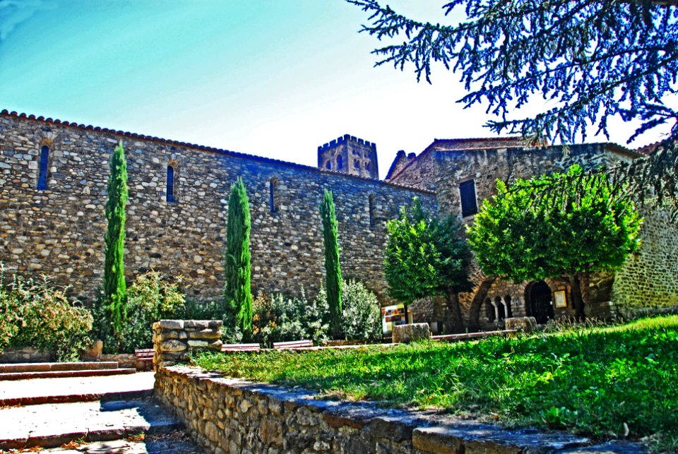 F10 19.Abbaye de Cuxa.0285