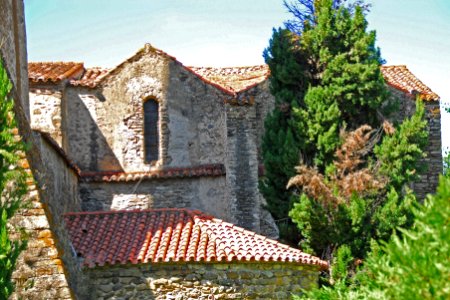 F10 19.Abbaye de Cuxa.0117