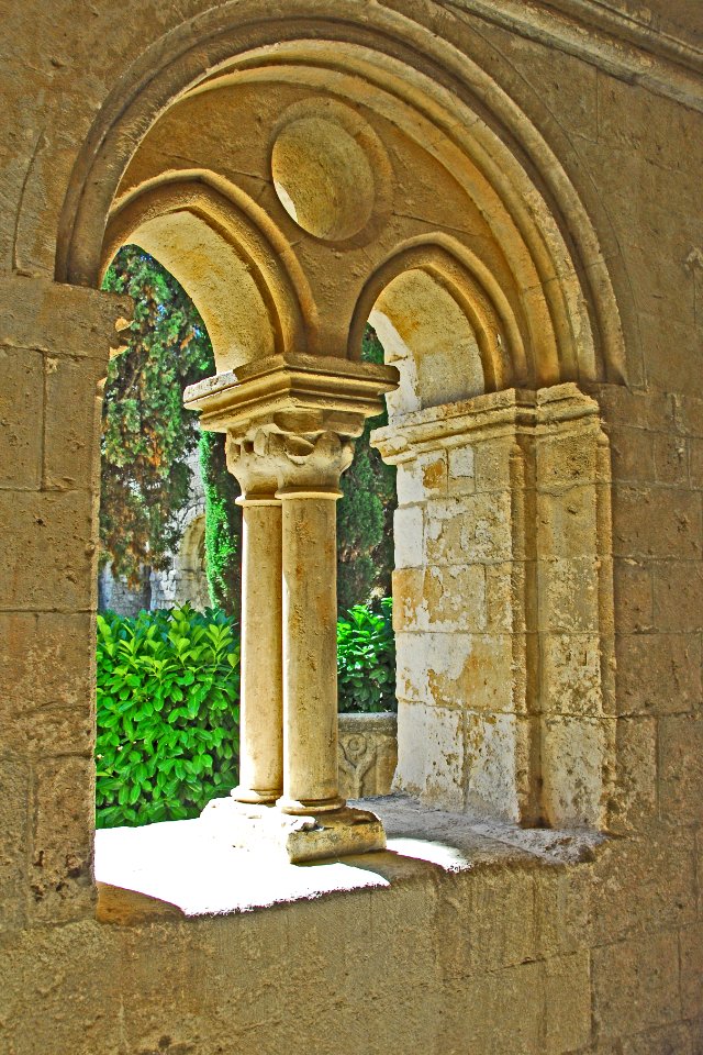 F10 44 Silvacane.0197
