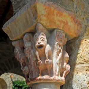 F10 51 Abbaye Saint-Martin du Canigou.0117