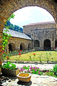F10 51 Abbaye Saint-Martin du Canigou.0126