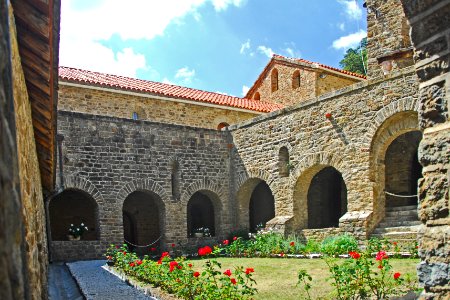 F10 51 Abbaye Saint-Martin du Canigou.0125
