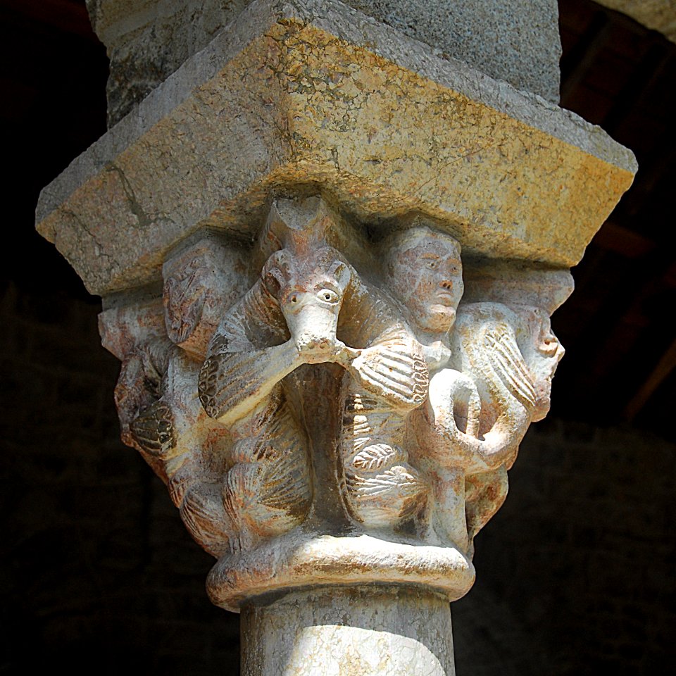 F10 51 Abbaye Saint-Martin du Canigou.0119