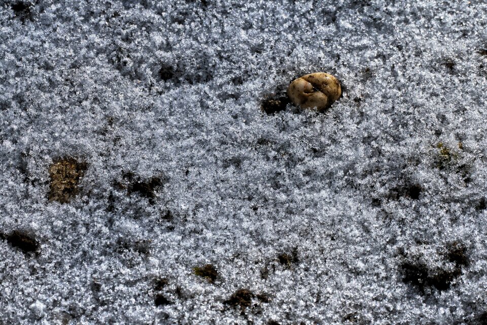 Frost nature pattern