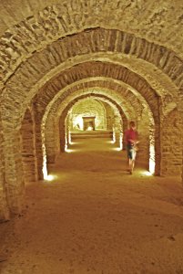 F10 51 Abbaye Saint-Martin du Canigou.0142