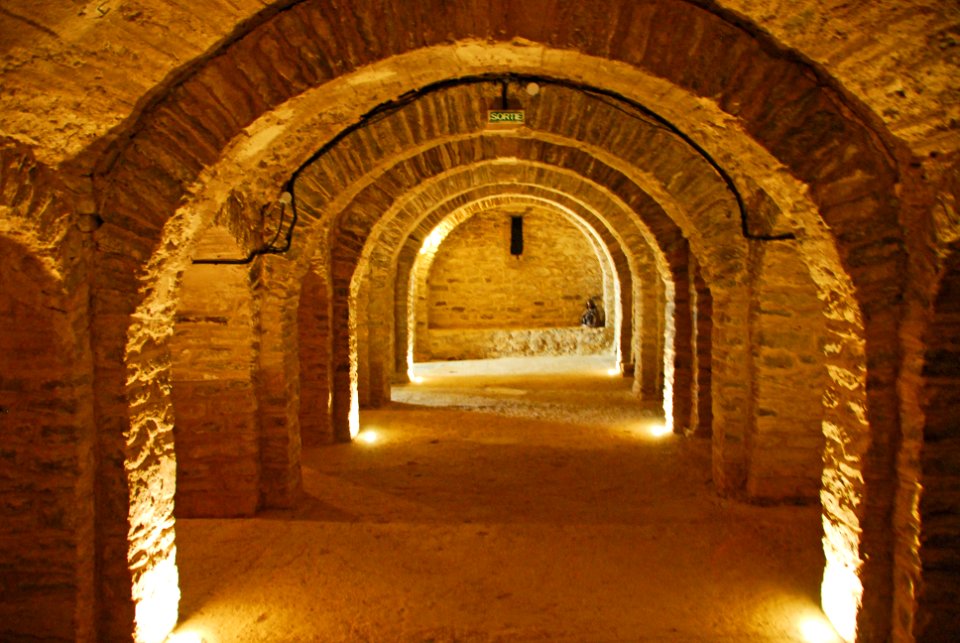 F10 51 Abbaye Saint-Martin du Canigou.0148