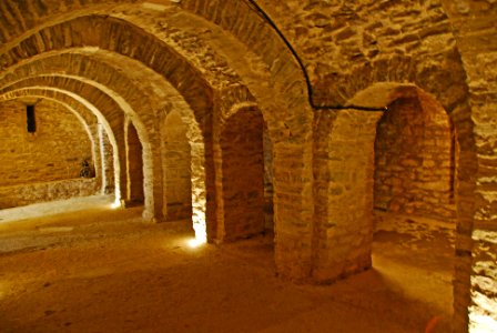 F10 51 Abbaye Saint-Martin du Canigou.0151