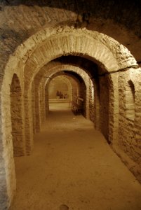 F10 51 Abbaye Saint-Martin du Canigou.0162