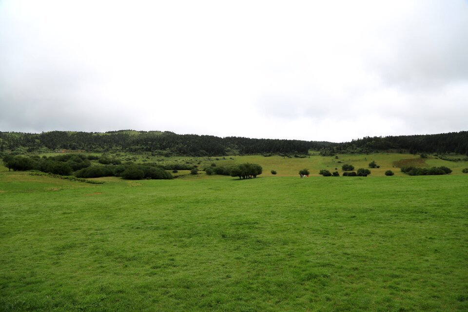 Prairie grassland empty