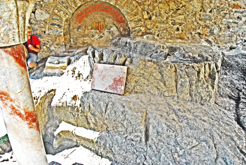 F10 51 Abbaye Saint-Martin du Canigou.0186
