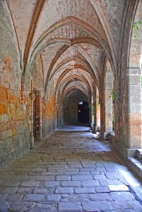 F10 53 Abbaye de Fontfroide, Nordgalerie.0017
