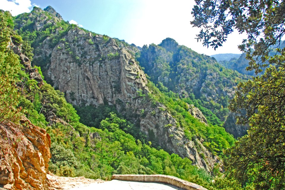 F10 51 Abbaye Saint-Martin du Canigou.0198